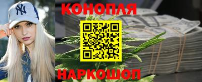 сатива Бузулук