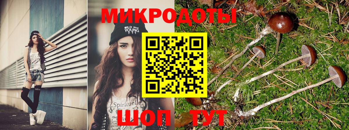 Галлюциногенные грибы MAGIC MUSHROOMS  купить наркотик  Россошь  Псилоцибиновые грибы Psilocybe  Вход с VPN 