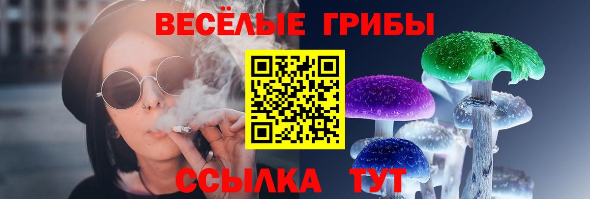 Галлюциногенные грибы мухоморы Россошь